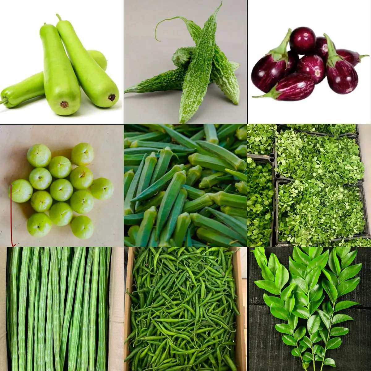 Fresh Vegetables