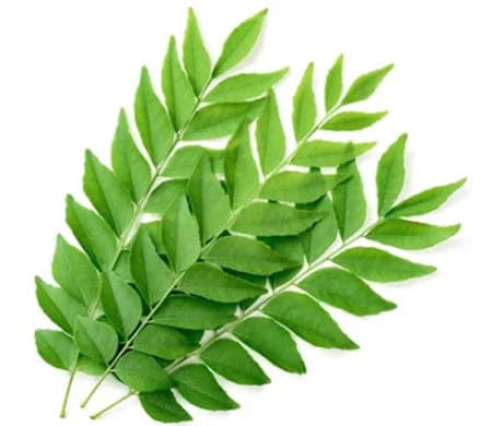 Curry Leaves 50g