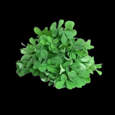 Methi (Fenugreek Leaves) – 1 Bunch